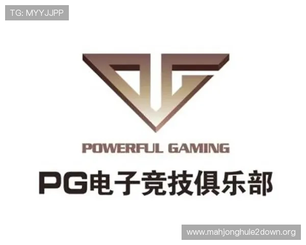 如何辨别PG电子正版平台，确保您的游戏体验安全无忧的实用指南