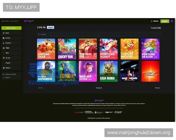 PG官网国际入口网页版最新版本上线，优化游戏界面与操作流程，提升整体用户体验